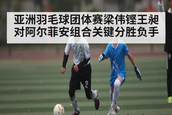 亚洲羽毛球团体赛梁伟铿王昶对阿尔菲安组合关键分胜负手 - ruyi sports
