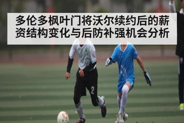 多伦多枫叶门将沃尔续约后的薪资结构变化与后防补强机会分析 - ruyi sports